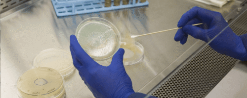 Clinical and Medical Supplies | Labtek Services