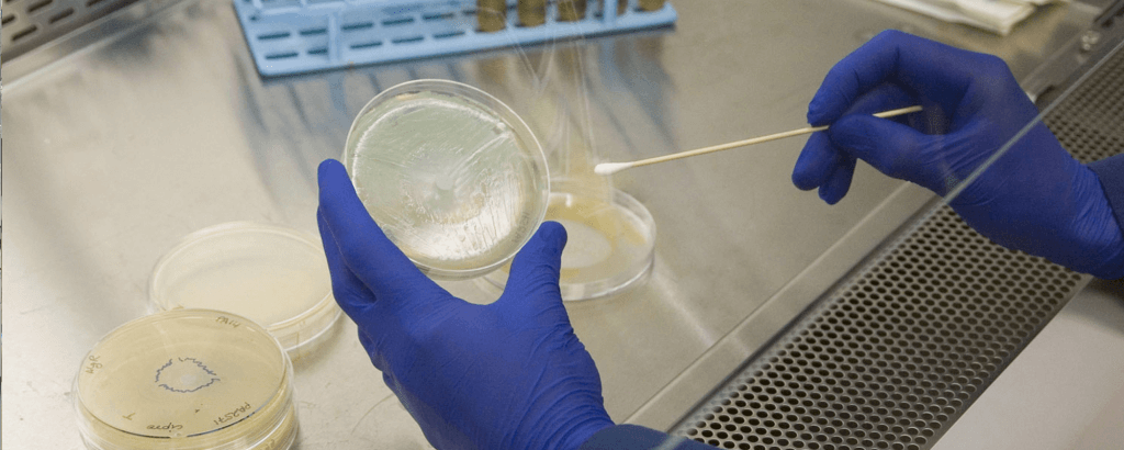 Clinical and Medical Supplies | Labtek Services