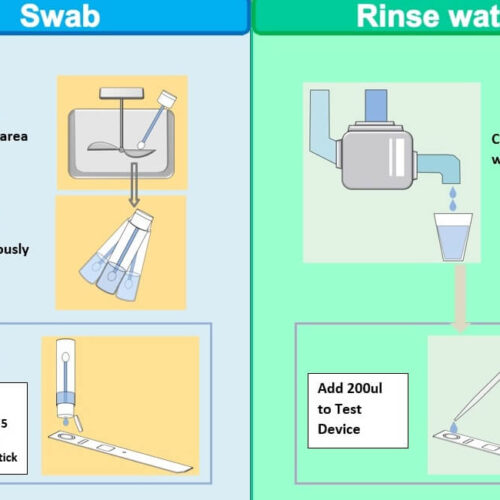 Rapid Test EASY - SOYA Allergen Lateral Flow  pk of 10