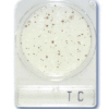Compact Dry Total Count Aerobic TC 40plates