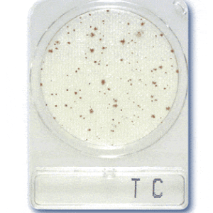 Compact Dry Total Count Aerobic TC 40plates