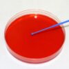 Inoculation Loops 1ul (16000)- Grip Seal Bag of 20