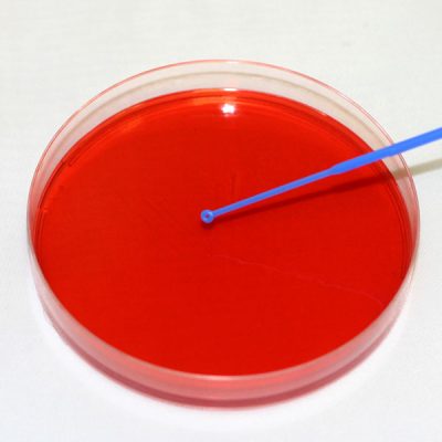 Inoculation Loops 1ul (16000)- Grip Seal Bag of 20 Inoculation Loops 1ul (16000)- Grip Seal Bag of 20