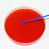 Inoculation Loops 1ul 1000- Grip Seal Bag of 20