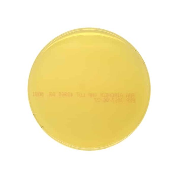 Air Settle Test - SDA Aircheck Yeasts and Fungi- pk of 10