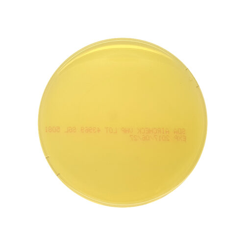 Air Settle Plate Test - SDA Aircheck Yeasts and Fungi- pk of 10