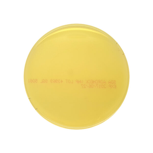 Air Settle Plate Test - SDA Aircheck Yeasts and Fungi- pk of 10