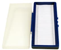 Slide Storage Box-50 Slide Blue