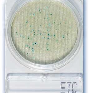 Compact Dry ETC (40 plates)