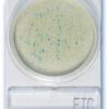 Compact Dry ETC (40 plates) Compact Dry ETC (40 plates)