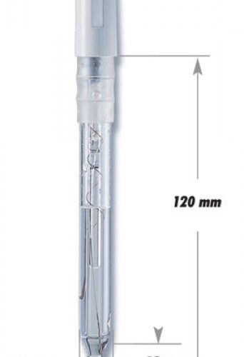 Electrode with Glass Body for Food pH