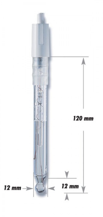 Electrode with Glass Body for Food pH