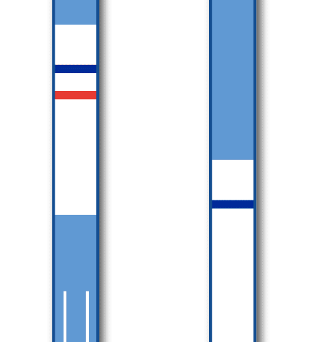 GlutenTox Sticks Plus for CUBE Reader 12tests