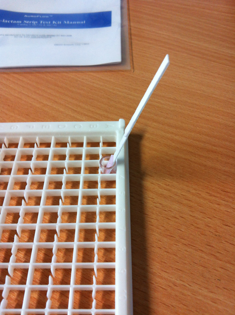 Auroflow BetaLactam Test Strips - 48 Test Kit