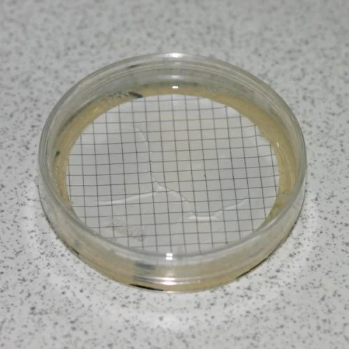 gridded membrane-filter-47mm 0.45um_sterile