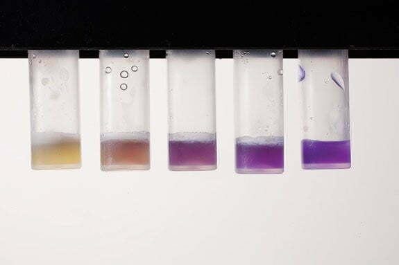 Milk Antibiotic Test - Colour Change