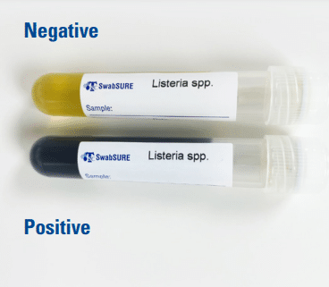 SwabSure Listeria Species + -