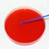 Inoculation Loops 10ul  200mm  Aseptic ECOPACK -16000
