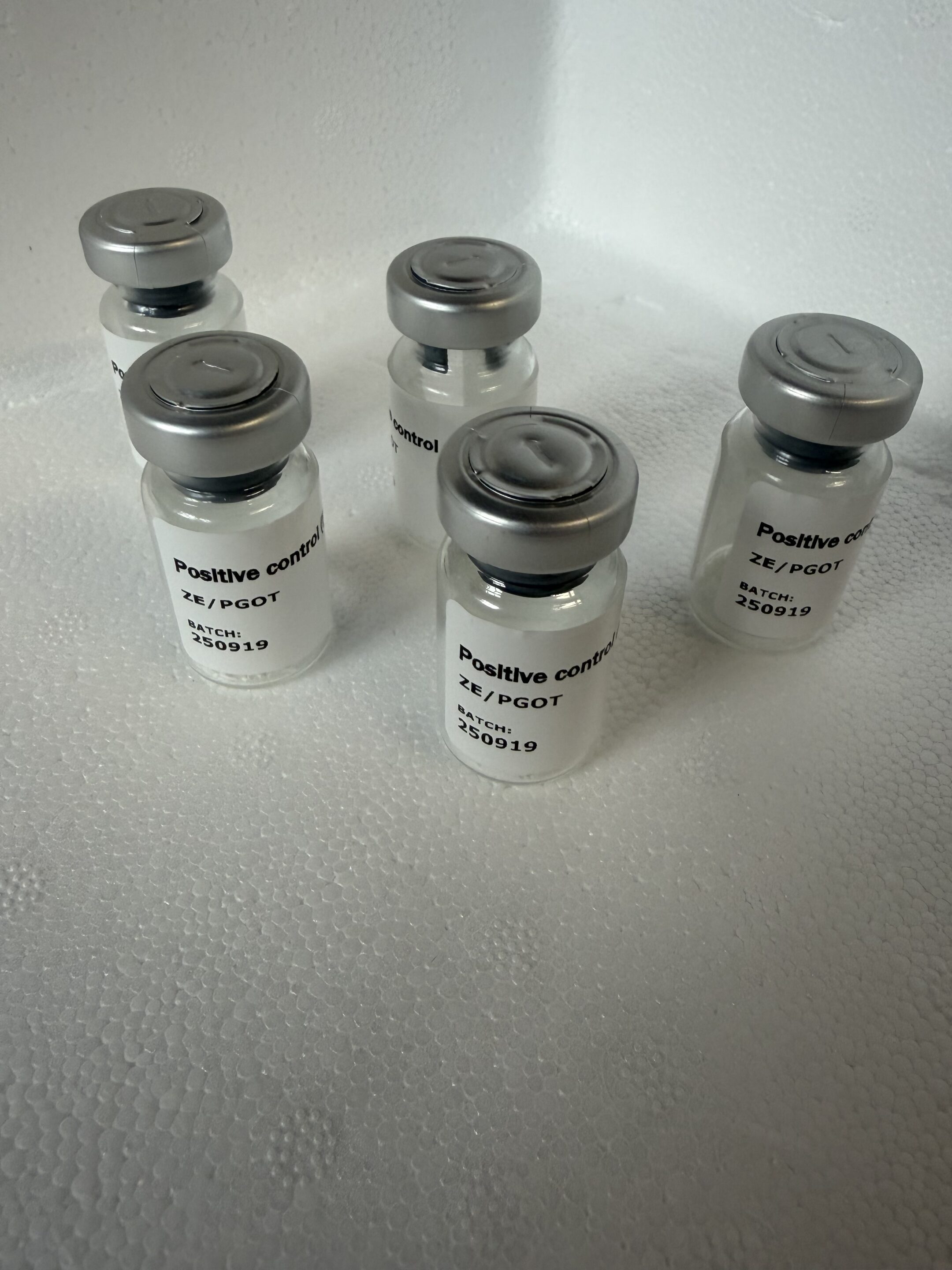 Antibiotic Residue Positive Control - Freeze Dried Pk of 5 - PEN G Antibiotic Residue Positive Control - Freeze Dried Pk of 5 - PEN G