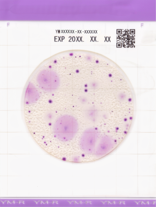 EASY PLATE Yeast and Mold Rapid YM-R - 100plates