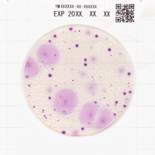 EASY PLATE Yeast and Mold Rapid YM-R - 100plates