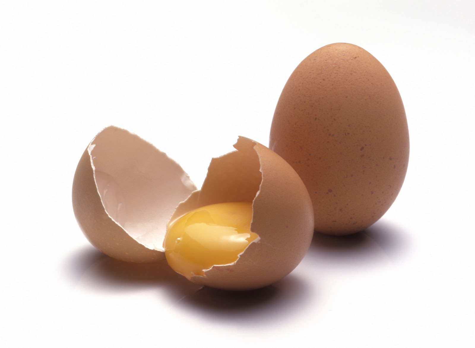 Egg Allergen