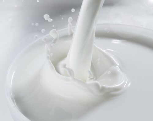 Milk Allergen