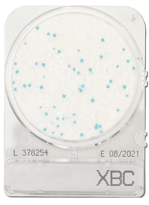 Compact Dry Bacillus Cereus BC - 1400plates
