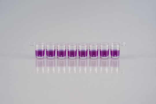 COMET 32 Incubator Reader - Eclipse 4G Plate - Image 3