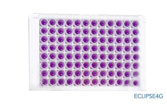 COMET 32 Incubator Reader - Eclipse 4G Plate - Image 2