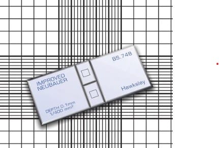 Cell Counting Haemocytometer Chamber - Neubauer Improved BS748