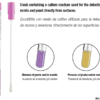 DeltaKlean Colour Change Swab - Surface Monitoring in the Food Industry - Pk of 25 - Yeast and Mould