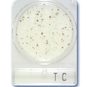 Compact Dry Total Count Aerobic TC 40plates