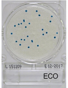 CompactDry Swabs PBS for surfaces, meat, fish and poultry