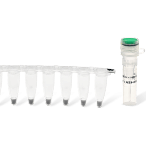 qPCR kit-3