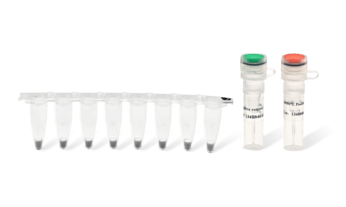 qPCR kit-3