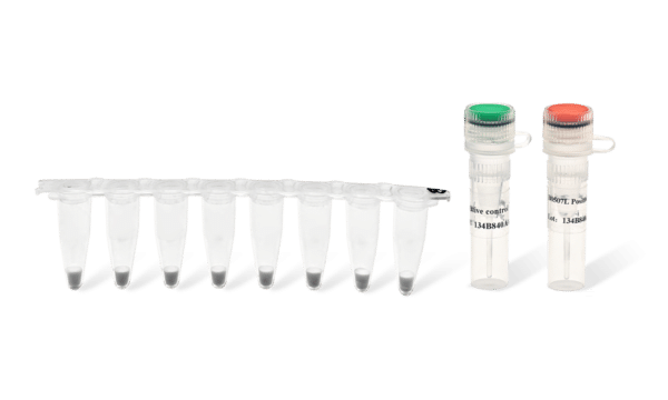 qPCR kit-3